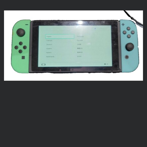 Rare Nintendo Switch Animal Crossing: New Horizon Special Edition